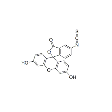 Fluorescein 5-Isothiocyanate CAS 3326-32-7