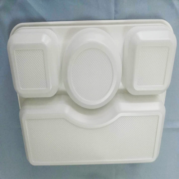 Food Storage Disposable  Lunch Box