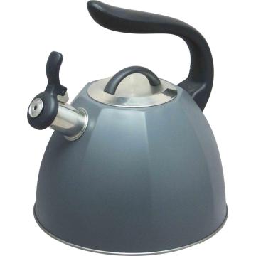 Stainess steel Painting tea pot