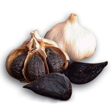 Health Quality Black Garlic Sale