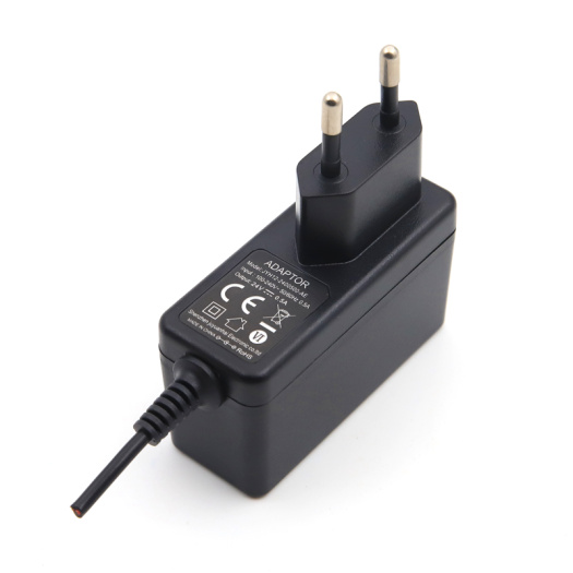 Hot sale Diffuser Power Adapter 24V 0.5A 12W