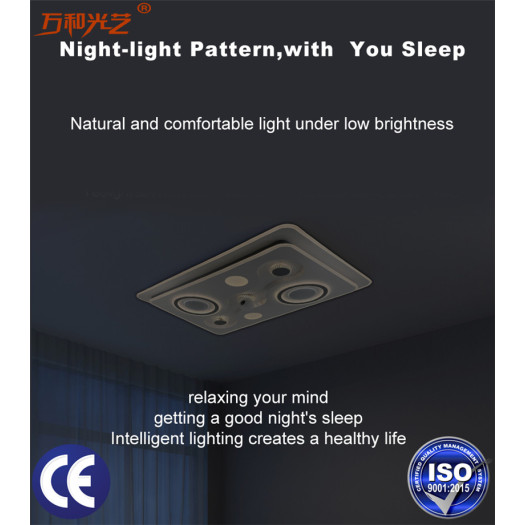 Smart Light Ceiling Lamp Remote Control  LED