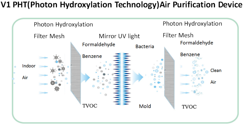 Phton Hydroxylation