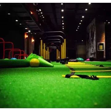 Professional high quality artificial grass for hotel