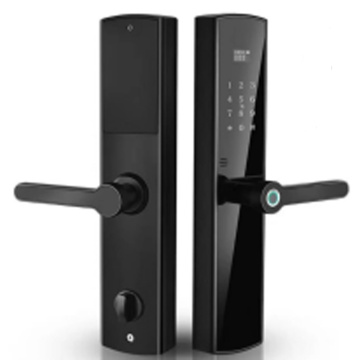 EVDTF5237 smart cloud biometric lock