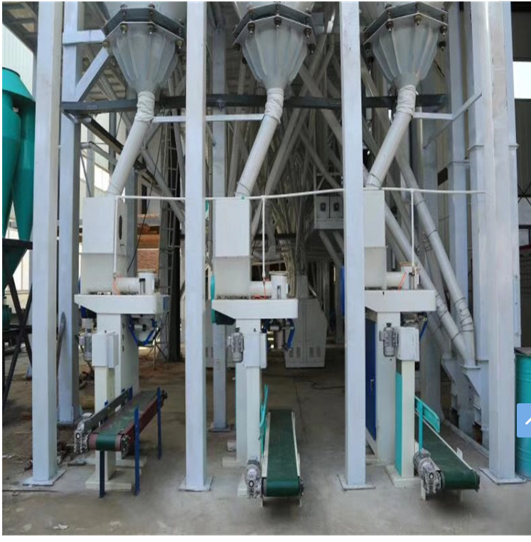 150tons of Wheat Flour Mill Machine Plalnt