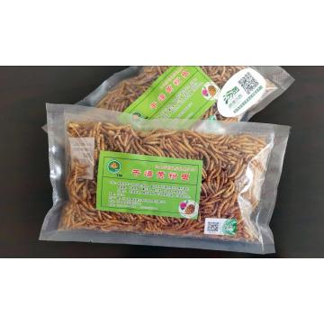 best parrot feed mealworm
