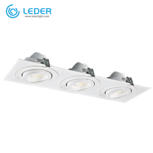 LEDER Warm White Powerful 30W*3 LED Downlight