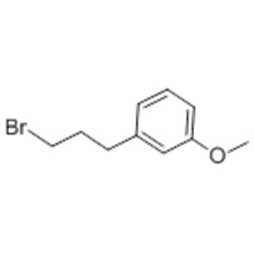 1-(3-BroMopropyl)-3-Methoxybenzene CAS 6943-97-1