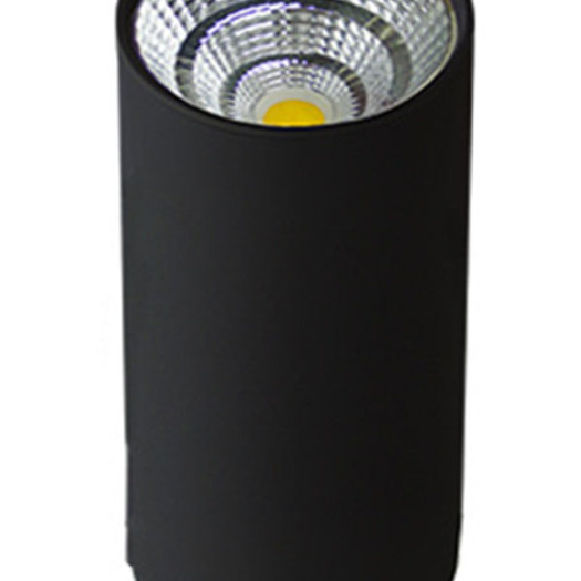 LEDER Lighting Design COB 3W LED Downlight