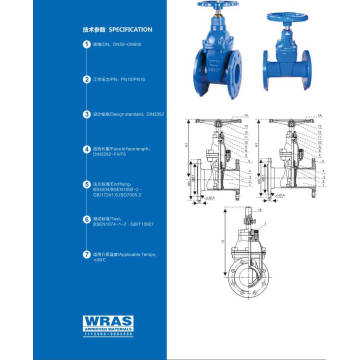 DIN3352 RESILIENT SEATED GATE VALVE