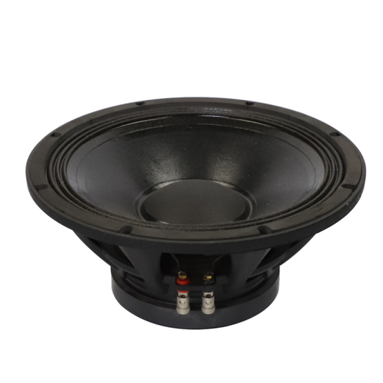 Party/ Opera/ Stage of 12inch Speaker