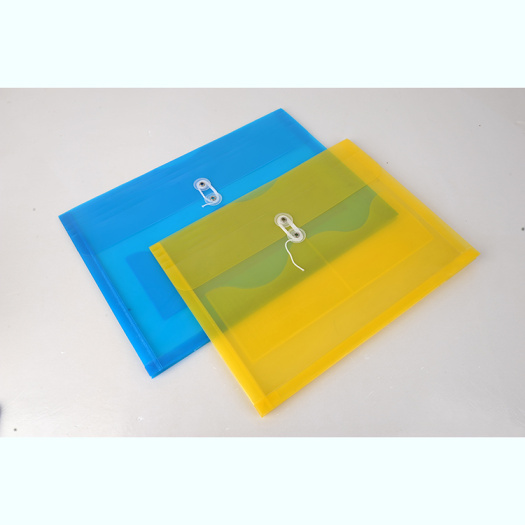 plastic transparent portable folder