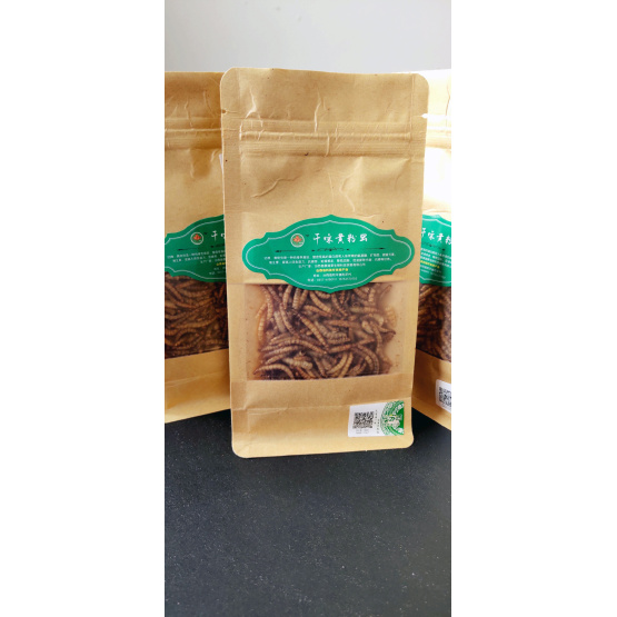 best window bird food mealworm