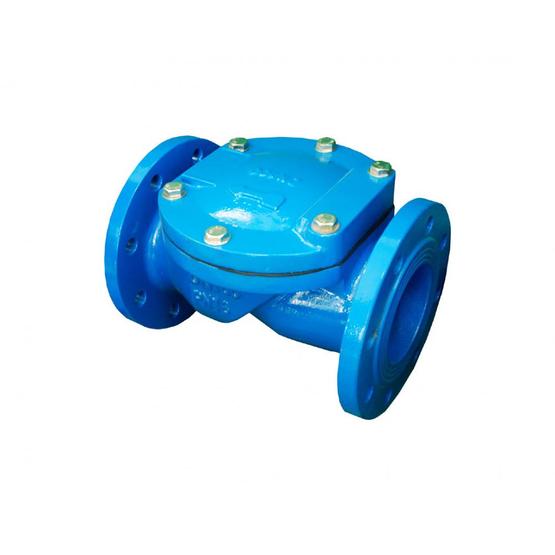 Flexible swing Check valve