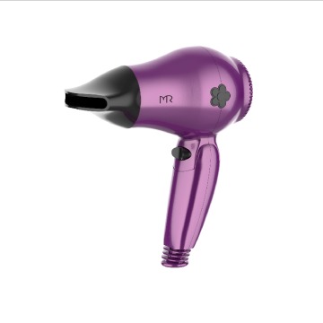 Hair Dryer with Folding Handle