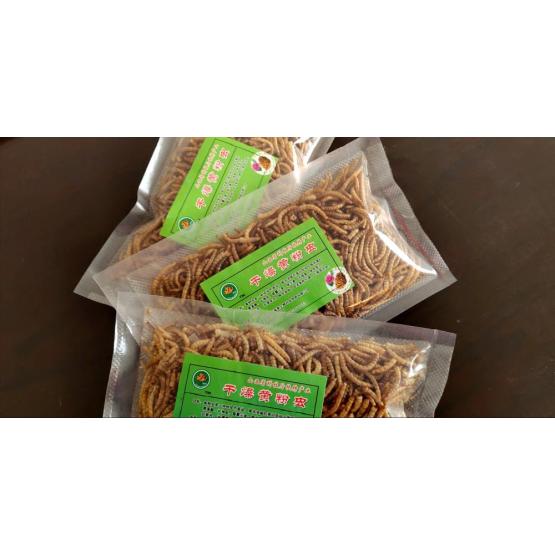 pets feed of mealworms