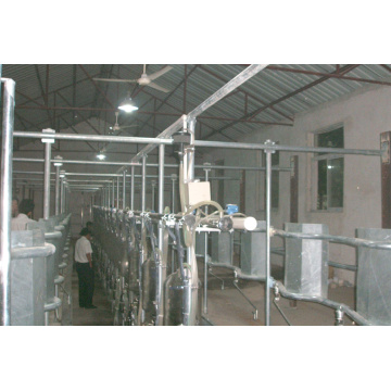 Dairy used middle set milking parlor