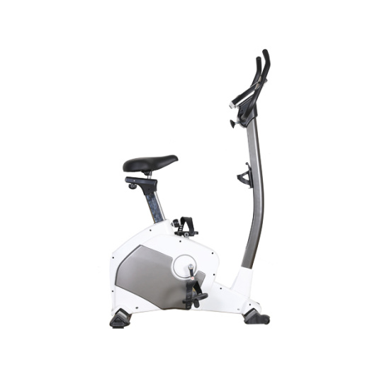 Magnetic Resistance Manual Exercise Bike