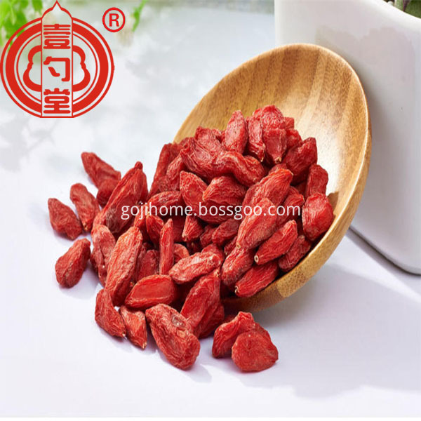 Red Fruit Dried Goji Berries