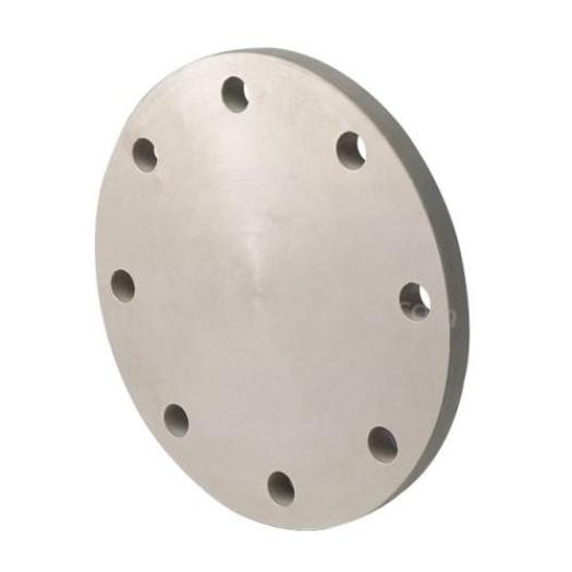 Forged Carbon Steel and Stainless Steel Blind Flanges