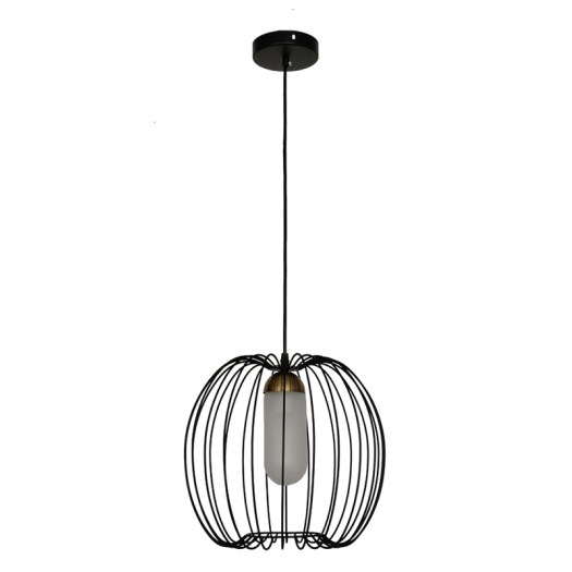 Modern Iron Black and white Birdcage Pendant Light
