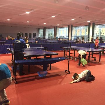 Ping Pong court mat