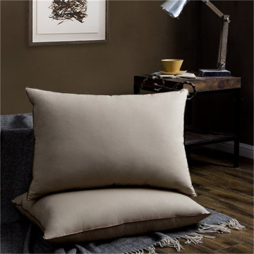 Luxury 100% Cotton Down Pillow For Sleeping