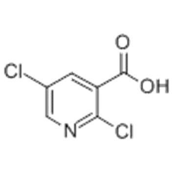 2,5-Dichloronicotinic acid CAS 59782-85-3