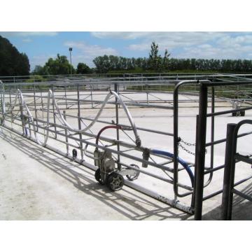 fast speed milking parlor