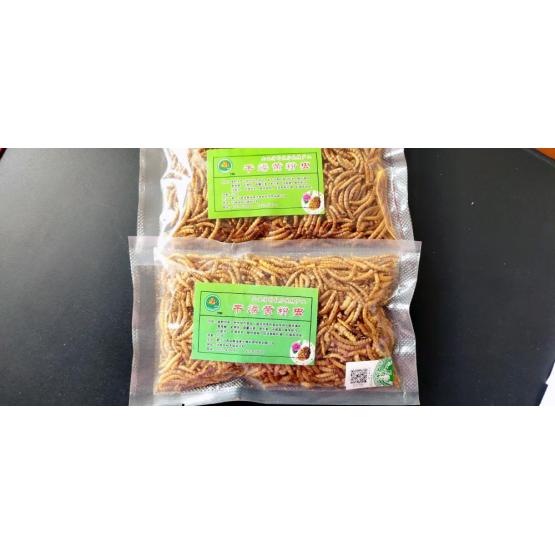 fish feed with mealworm