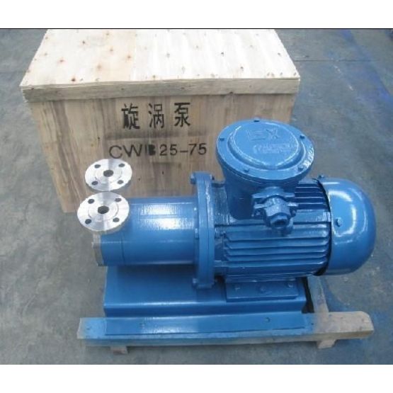 CWB type magnetic vortex pump