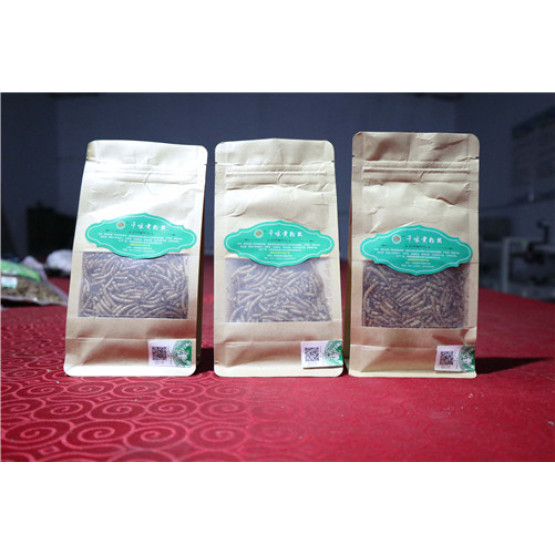 100% Pure Natural Reptile Dried Tenebrio Molitors Feed