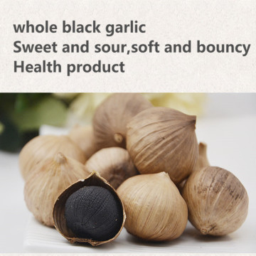 HACCP FDA ISO single bulb black garlic