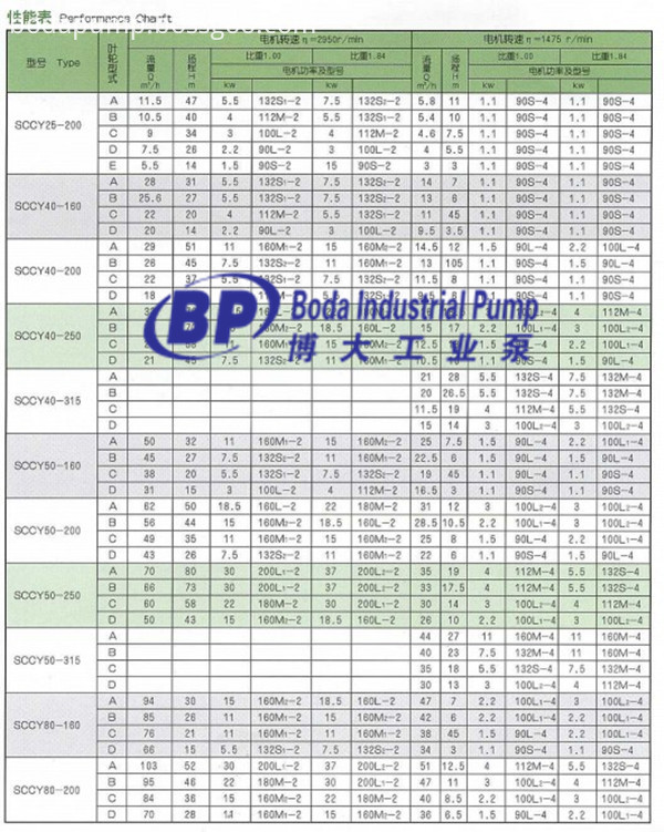 SCCY Long Shaft Submerged Pump