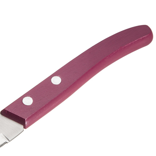 Garwin steak knife with painted handle