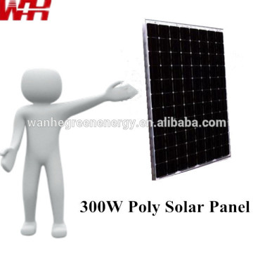 Photovoltaic Module 300W for Sale