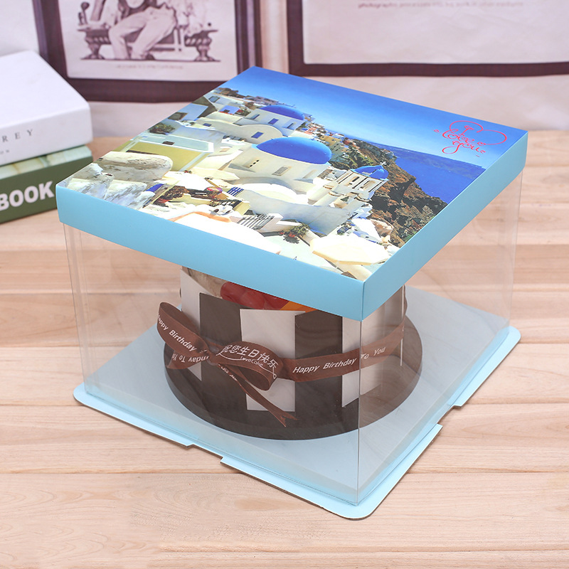 Plastic Cake Box 1