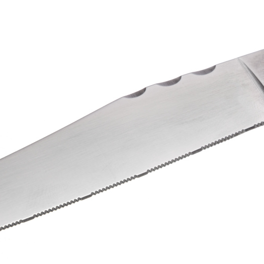 Garwin stainless steel steak knife with resin handle