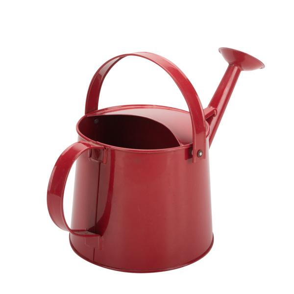 Decorative Galvenized Watering Can Small