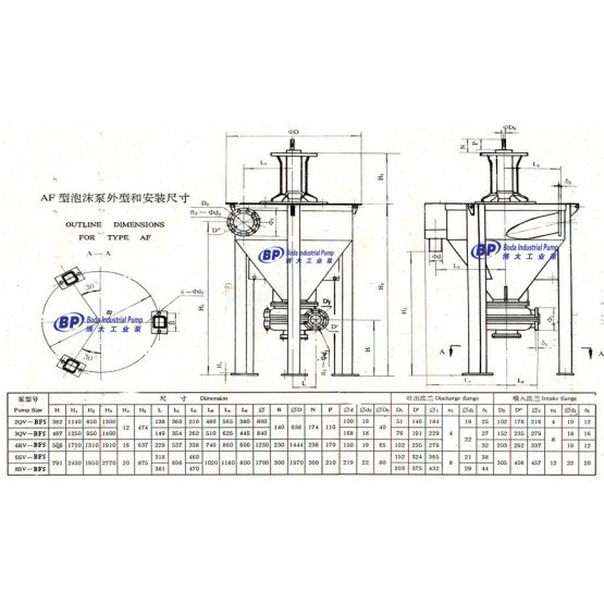 BFS Vertical Froth Slurry Pump