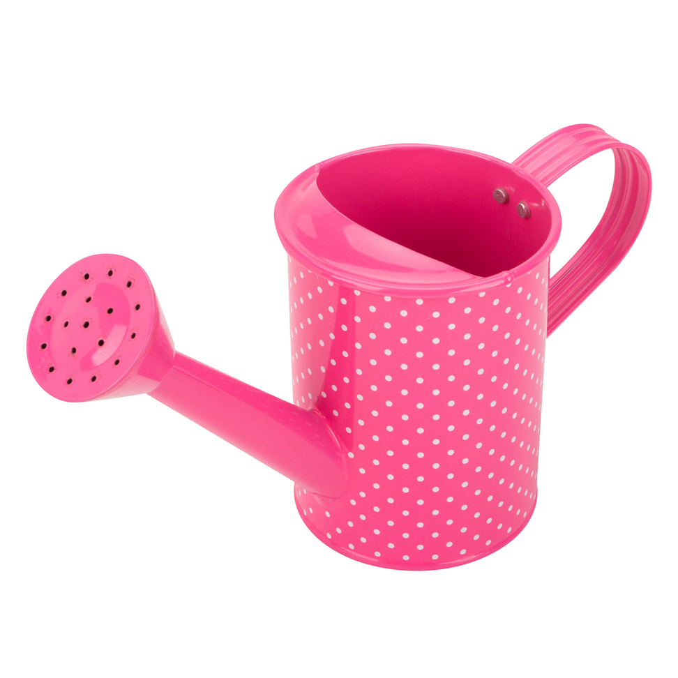 Novelty Watering Can