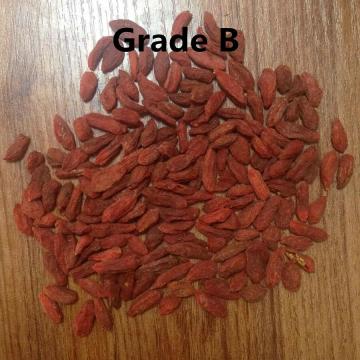 Grade B Cheap zhongning dried fruit goji berries