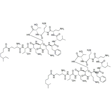 POLYMYXIN B NONAPEPTIDE HYDROCHLORIDE CAS 86408-36-8