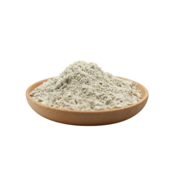 buy bulk hemp protein powder