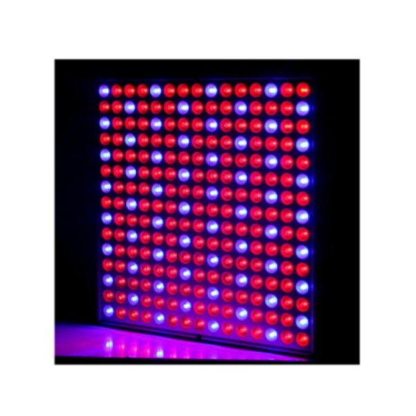 Slim Red&Blue 45W LED Grow Light