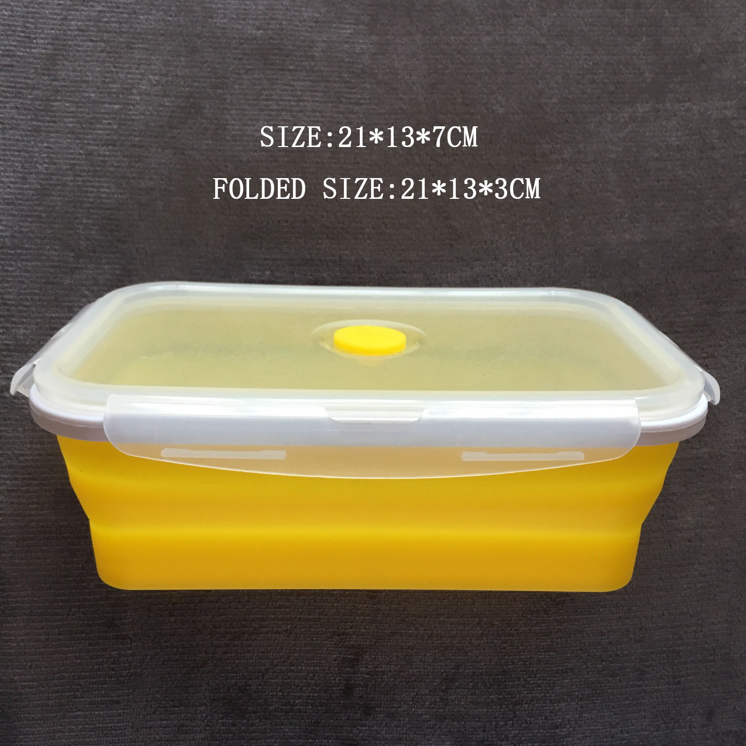 Sanitary Silicone Lunch Box