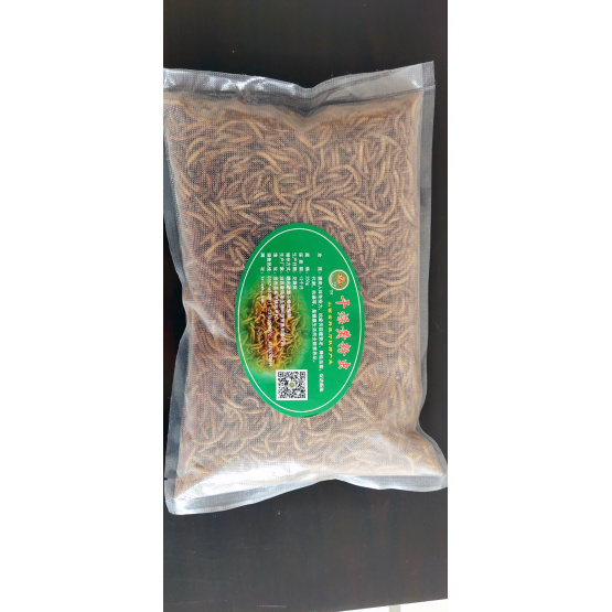 wild bird food mealworm