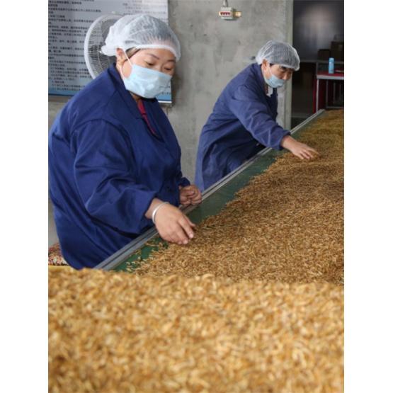 Wholesale dried Tenebrio molitor feed