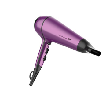 Wall Mounted Hotel Foldable Hair Dryer 2100W
